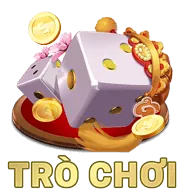 Biểu tượng chuyên nghiệp